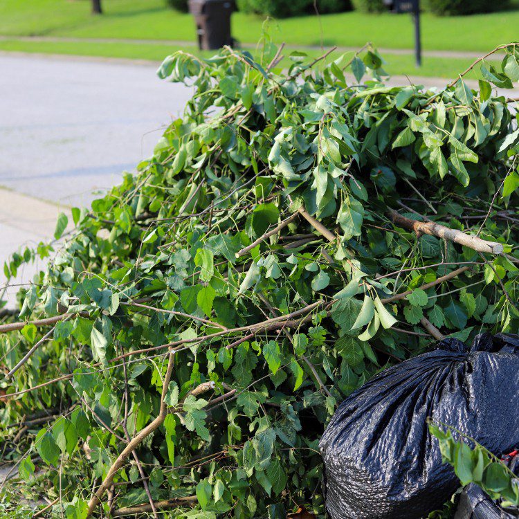 Landscape Maintenance in Stephenville, TX Landscape Maintenance in Stephenville, TX