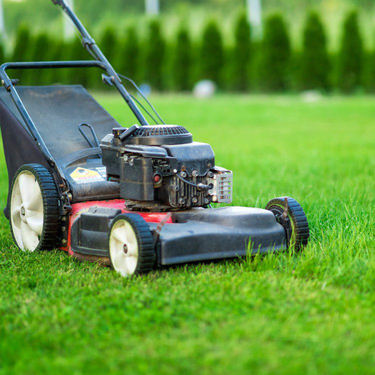 Landscape Maintenance in Stephenville, TX Landscape Maintenance in Stephenville, TX