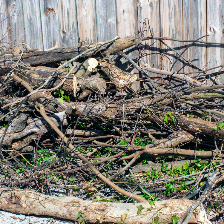 Landscape Maintenance in Stephenville, TX Landscape Maintenance in Stephenville, TX