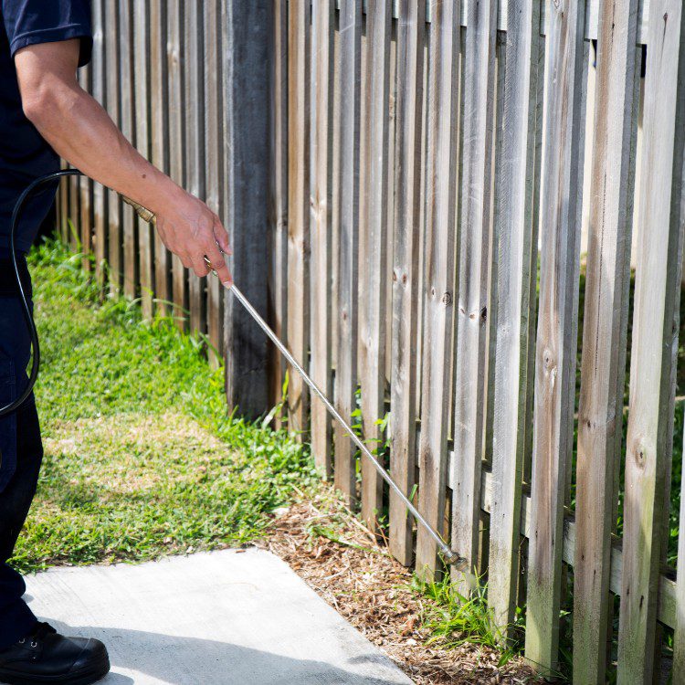 Landscape Maintenance in Stephenville, TX Landscape Maintenance in Stephenville, TX