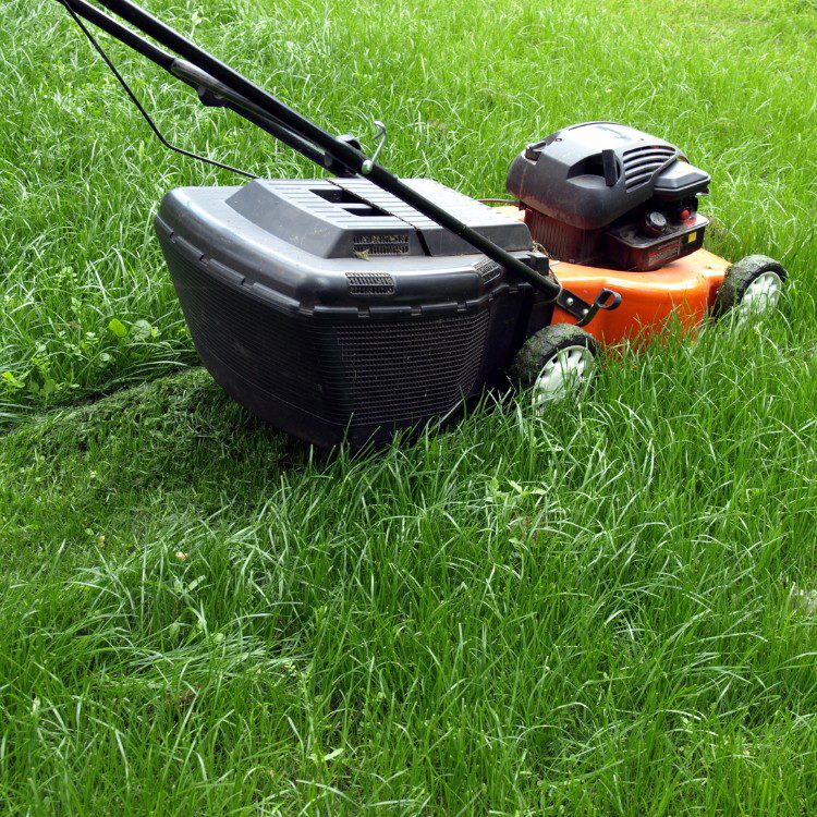 Landscape Maintenance in Stephenville, TX Landscape Maintenance in Stephenville, TX