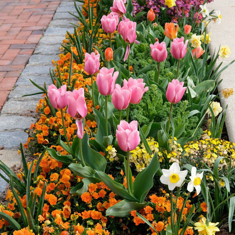 Landscape Maintenance in Stephenville, TX Landscape Maintenance in Stephenville, TX