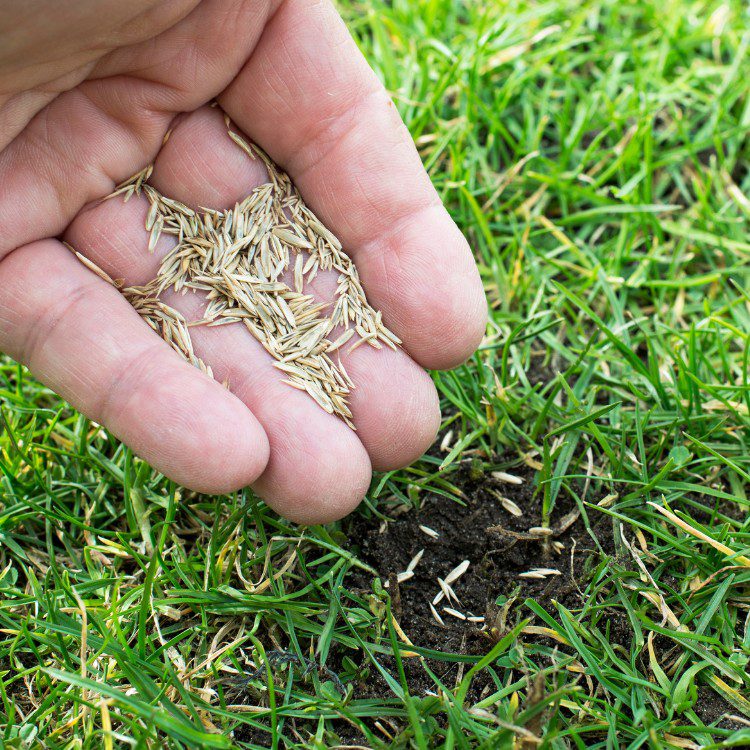 Landscape Maintenance in Stephenville, TX Landscape Maintenance in Stephenville, TX