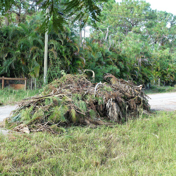 Landscape Maintenance in Stephenville, TX Landscape Maintenance in Stephenville, TX
