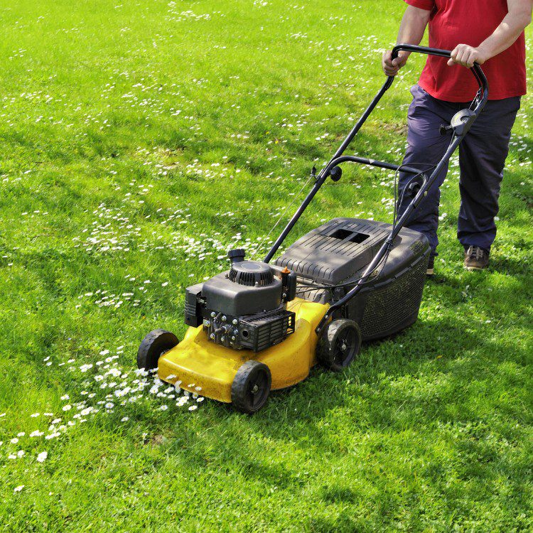 Landscape Maintenance in Stephenville, TX Landscape Maintenance in Stephenville, TX