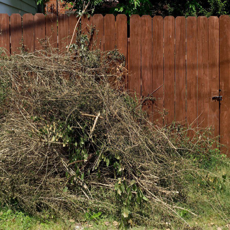 Landscape Maintenance in Stephenville, TX Landscape Maintenance in Stephenville, TX