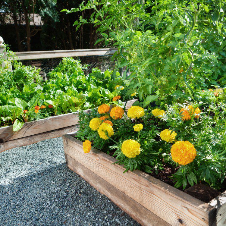 Landscape Maintenance in Stephenville, TX Landscape Maintenance in Stephenville, TX